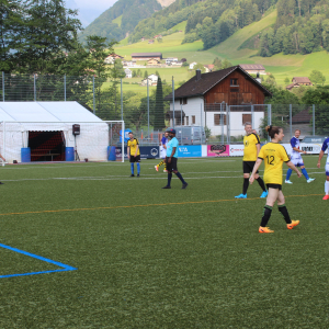 DDA5FDF0-9E82-4BD1-A509-D1B205A43AED